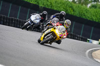 Middle Group Yellow Bikes